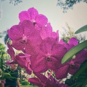 Meet your Posher, Cody